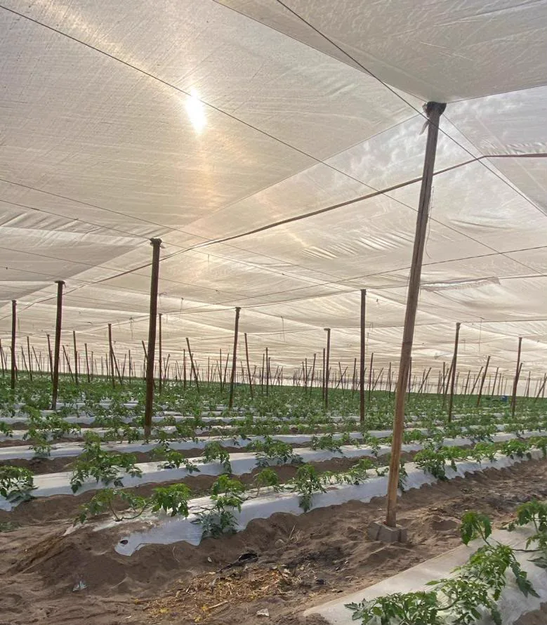 Cosecha de productos agrícolas